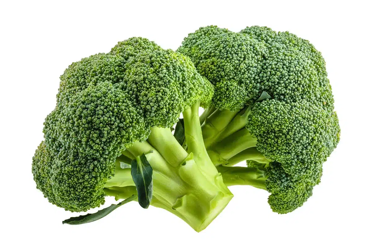 Fresh broccoli florets.