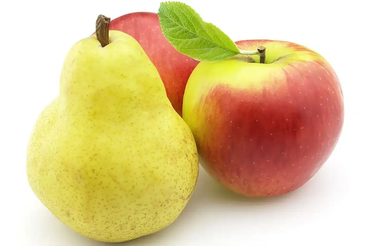 Pear and apples on white background.
