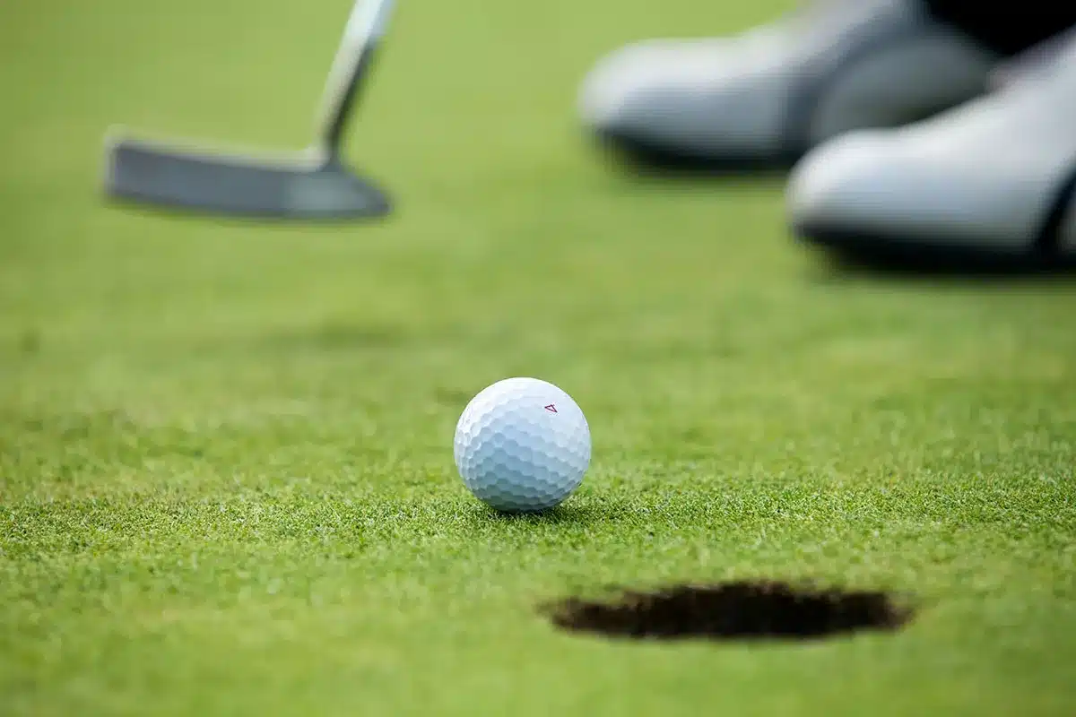 Golf ball on green near the hole.