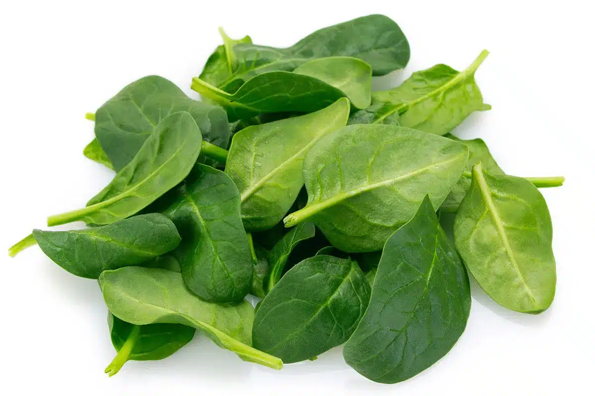 Fresh spinach leaves.