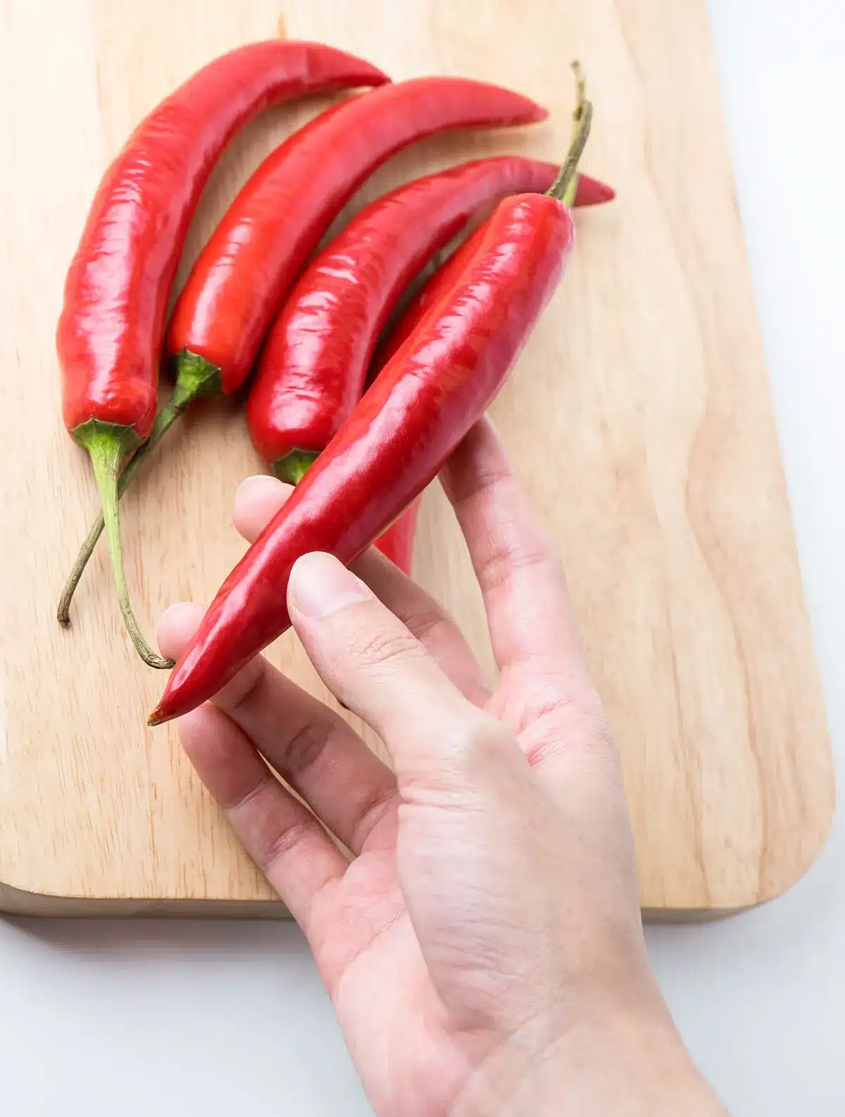 Hand holding fresh red chili peppers.