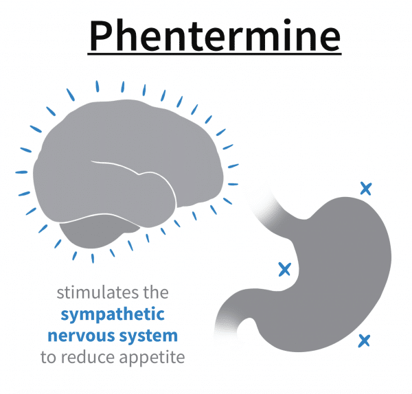 How Phentermine weight loss drug affects the brain