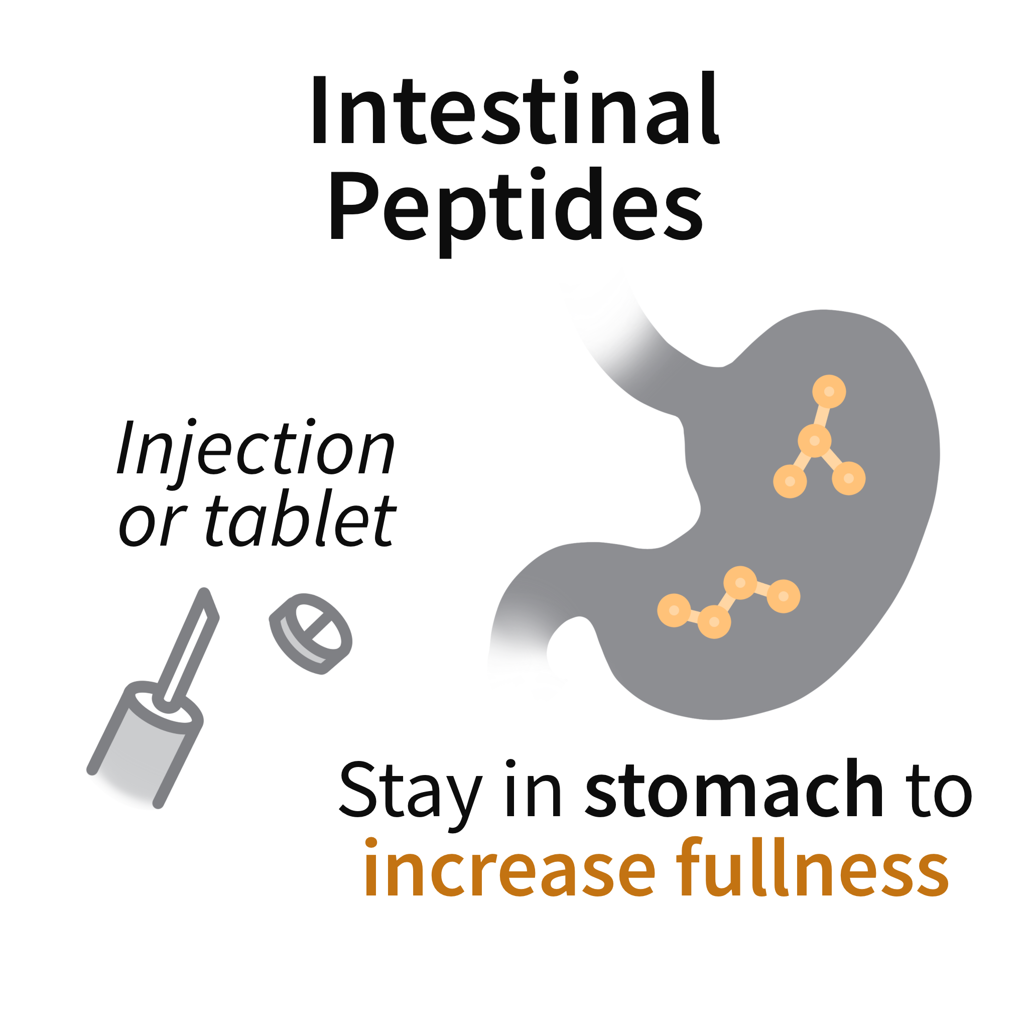 intestinal peptides