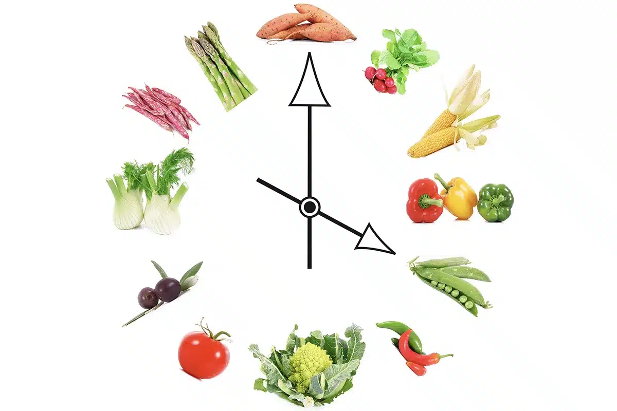 Clock showing various vegetables.