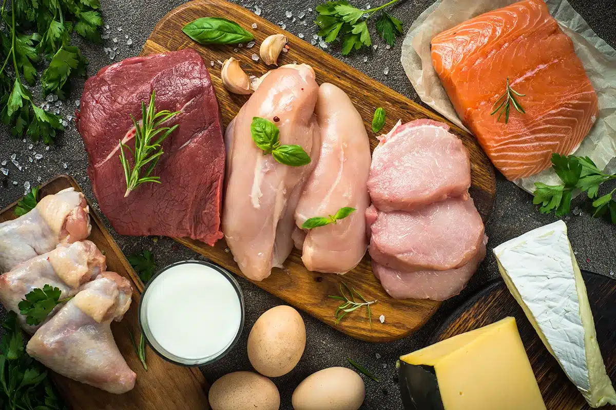 protein foods in diet