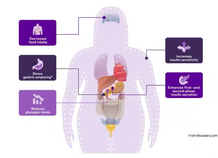 Mounjaro help treats obesity